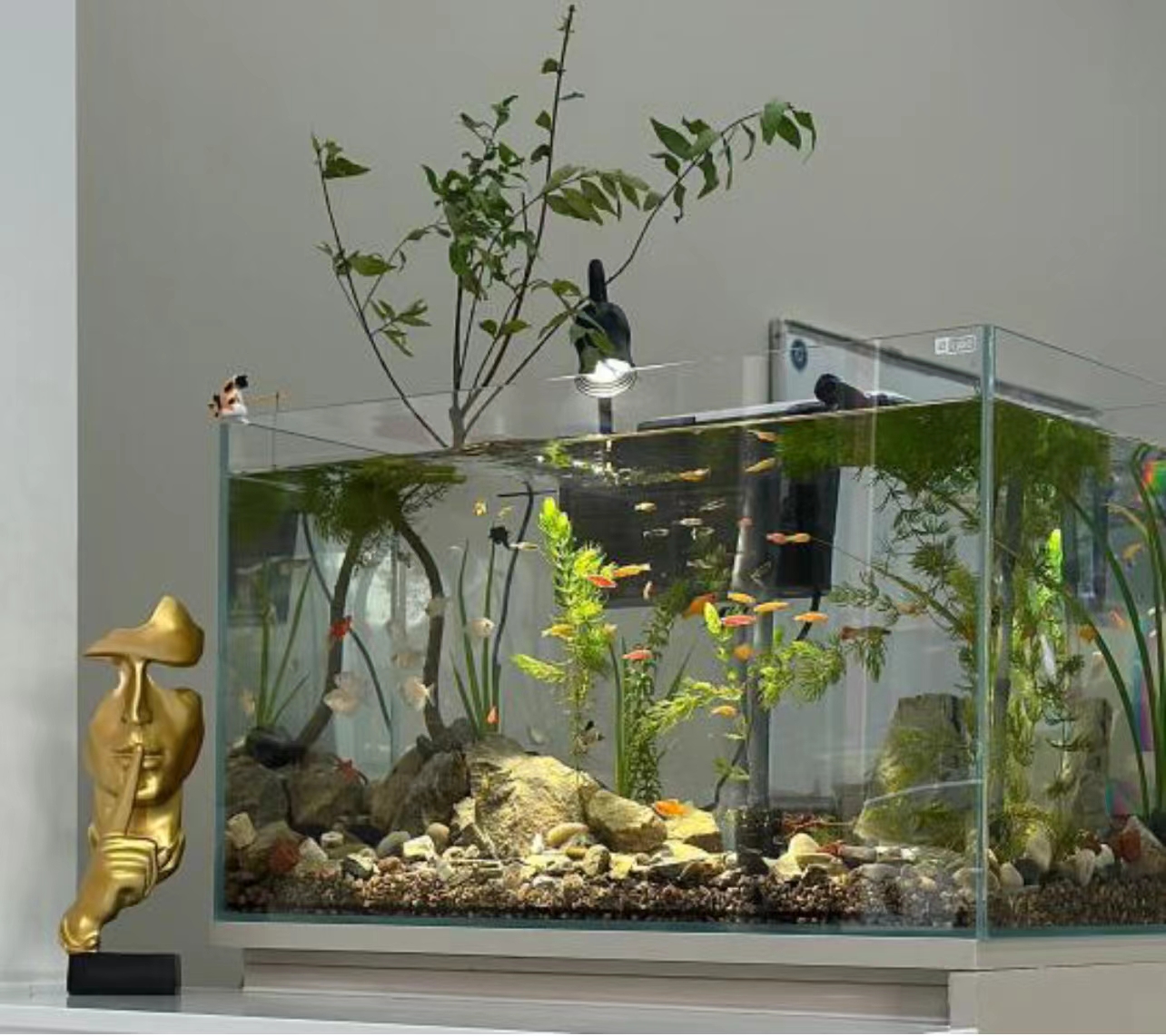 fish tank